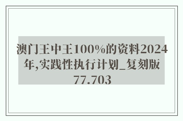 澳门王中王100%的资料2024年,实践性执行计划_复刻版77.703