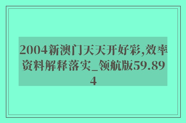 2004新澳门天天开好彩,效率资料解释落实_领航版59.894