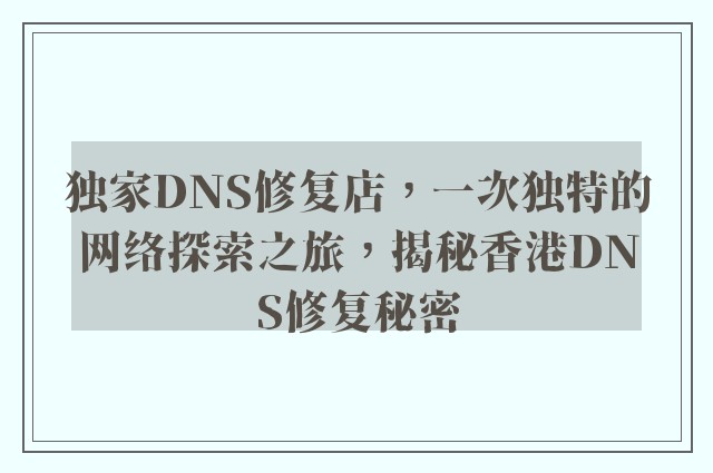 独家DNS修复店，一次独特的网络探索之旅，揭秘香港DNS修复秘密